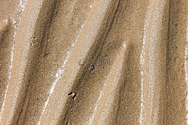 砂,海,海灘