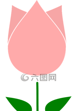 芽,花,郁金香