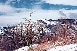 温特斯,雪,性质