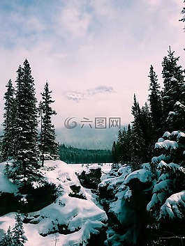 加拿大,冬天,雪