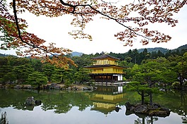 宮,日本,景觀