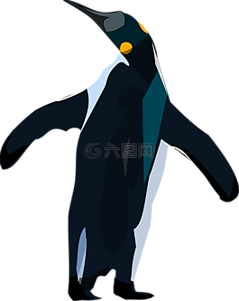 企鵝,動(dòng)物,鳥(niǎo)
