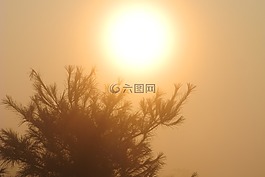 日出,木材,太陽能