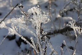 冬天,冰,eiskristalle