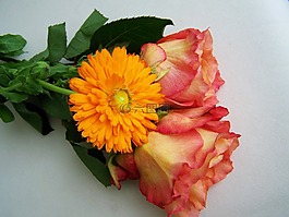 束鮮花,玫瑰,非洲菊