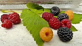 覆盆子,莓果,静物