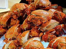 螃蟹,海鮮,冷