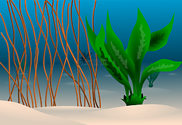 海洋,植物,沙