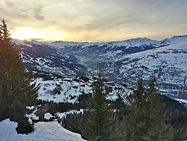 雪,樹,高山