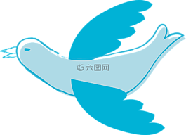 鴿子,動物,鳥