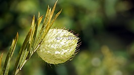 廠,帶動,刺