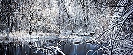 冬天,薩克森,雪