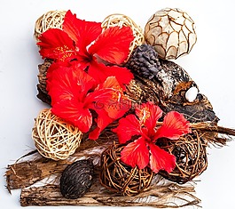 插花,芙蓉花,鮮花