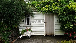 棚屋,綠色,小木屋