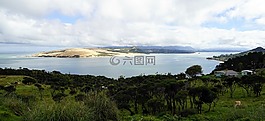 預訂,沙丘,沿海風景