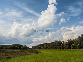 景觀,草甸,多云