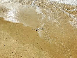 明星,海,海灘