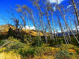 通過(guò),小山,山