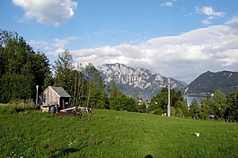 性質(zhì),山,草