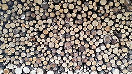 木,holzstapel,背景