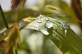 一滴水,性質(zhì),雨滴