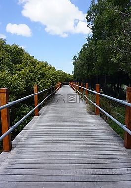 戶外,自然,橋