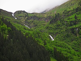 森林,山,奧地利
