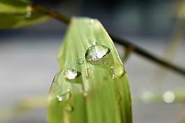 一滴水,性質(zhì),雨滴