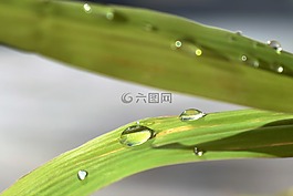 一滴水,性質(zhì),雨滴