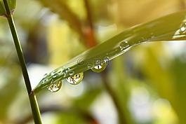一滴水,性質(zhì),雨滴