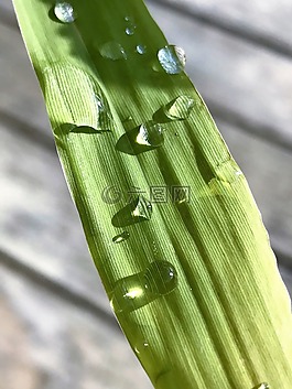一滴水,性質(zhì),雨滴