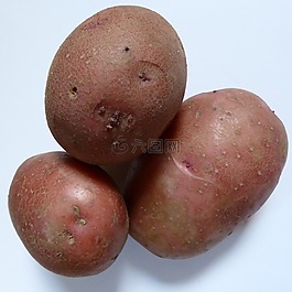 土豆,生物,性質(zhì)