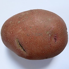 土豆,生物,性質(zhì)