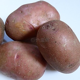 土豆,生物,性質(zhì)