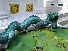 龍,蓮花,池