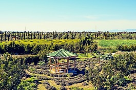 塞浦路斯,avgorou,cyherbia