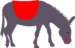 動物,驢,哺乳動物
