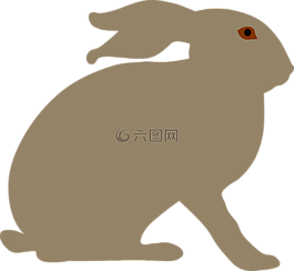 動物,野兔,兔