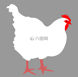 動物,鳥,母雞
