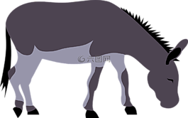 動物,驢,農(nóng)場