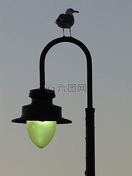 燈籠,鳥,天空