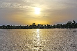 日落,热带,景观