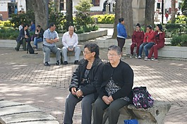 女子,老,女性