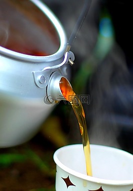 茶,營,森林