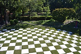 花園,禪,日本花園