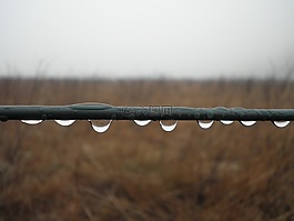 雨滴,系列,線