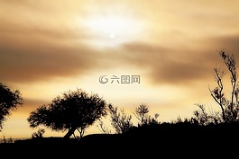 天空,太陽,日出