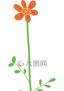 花,橙色,盛開