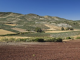 景觀,性質(zhì),山