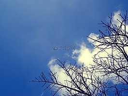 天空,性質(zhì),云